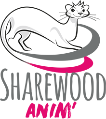 Animations pour entreprise & particuliers