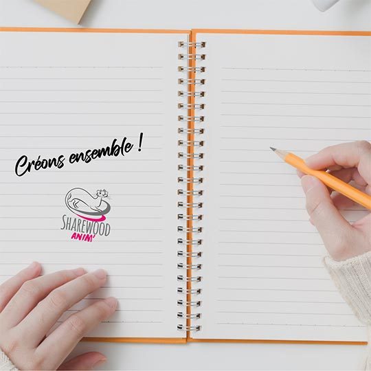 atelier-creation-animations-et-jeux-44 atelier-creation-animations-et-jeux-44