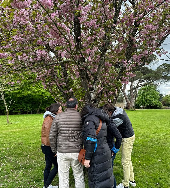 best-sellers-sharewood-anim