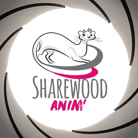 jeu-team-building-agents-secrets-contre-espions jeu-team-building-agents-secrets-contre-espions